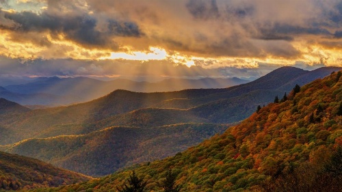 Secluded Escape Near Downtown & Biltmore Fun home image 24